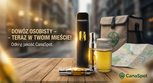 WRACAMY NA PEŁNEJ! 🚀 Nowy drop już za tydzień! 🔥